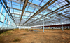 Durable Steel Structure Greenhouse for Year-Round Commercial Horticulture