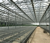 Steel Structure Greenhouse Horticulture: Efficient Cultivation Solutions for Modern Agriculture