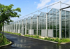 Steel Structure Greenhouse Horticulture: Efficient Cultivation Solutions for Modern Agriculture