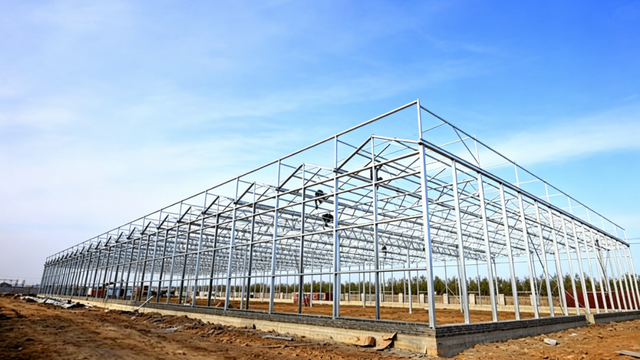 Durable Steel Structure Greenhouse for Year-Round Commercial Horticulture