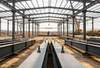 Portal Frame Steel Structure for Industrial Buildings, Warehouses and Workshops