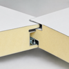Custom Insulated Steel Panel Building Envelope Solution