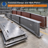  Custom Flange and Web Plates