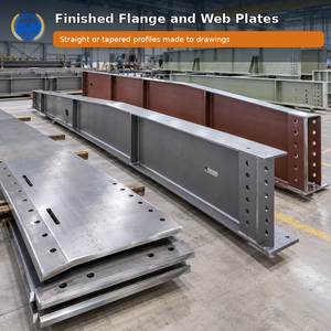  Custom Flange and Web Plates