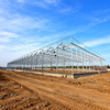 Durable Steel Structure Greenhouse for Year-Round Commercial Horticulture
