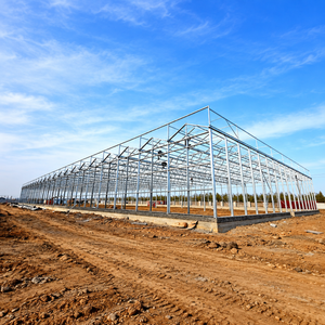 Durable Steel Structure Greenhouse for Year-Round Commercial Horticulture