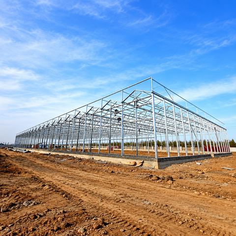 Durable Steel Structure Greenhouse for Year-Round Commercial Horticulture