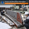  Custom Flange and Web Plates
