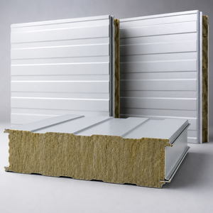 Custom Insulated Steel Panel Building Envelope Solution